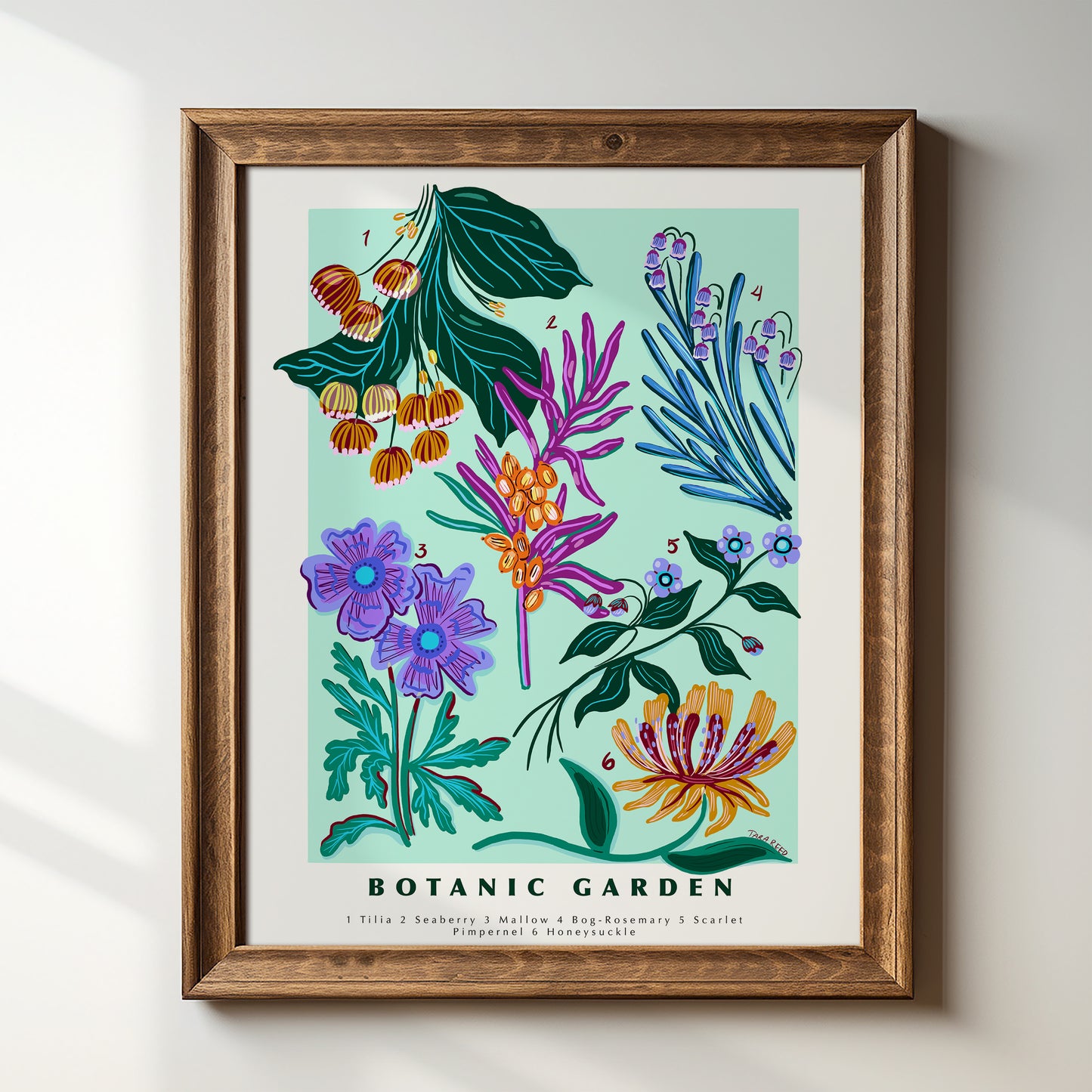 Scientific Poster: Botanic Garden - Art Print