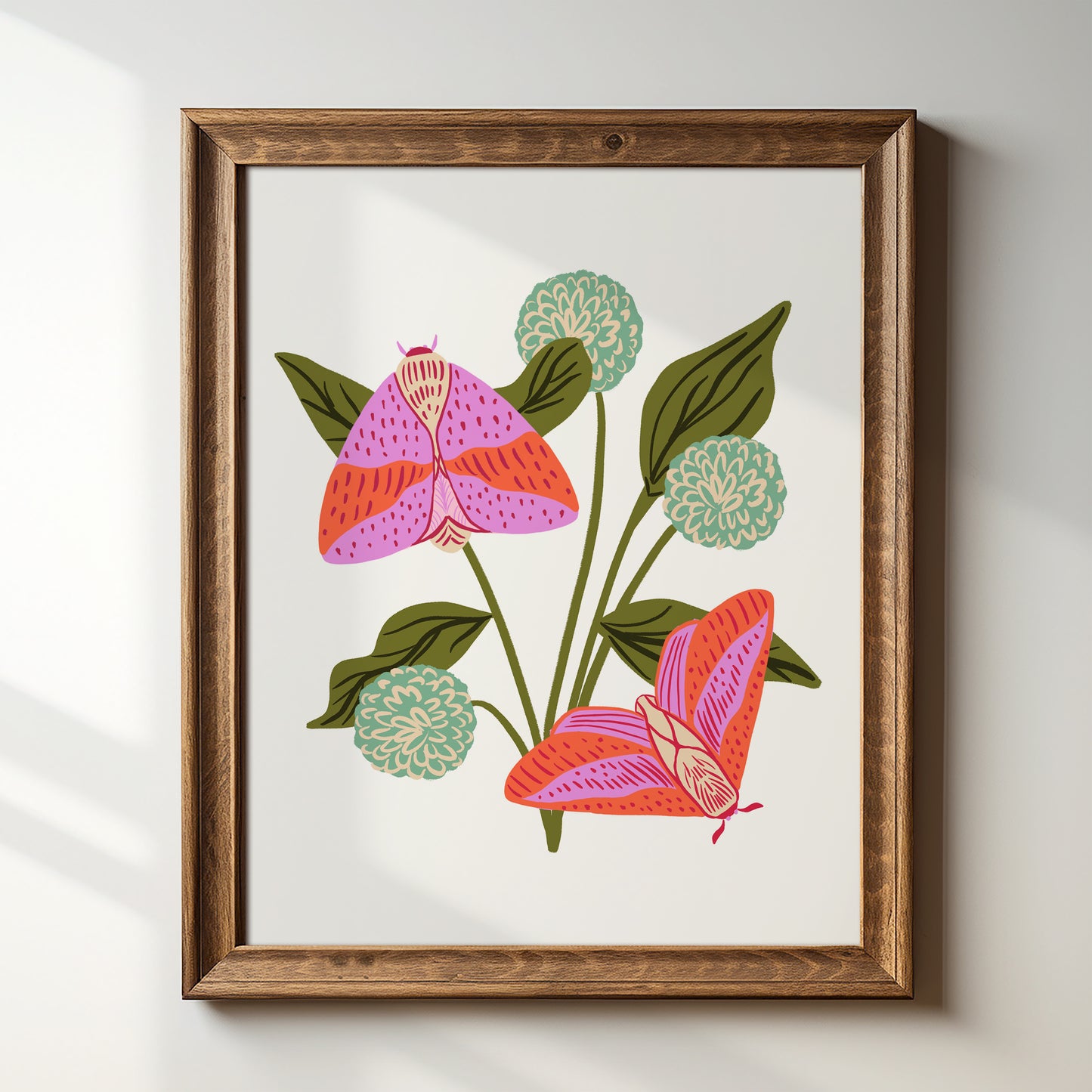 Rosy Maple Moth - Art Print
