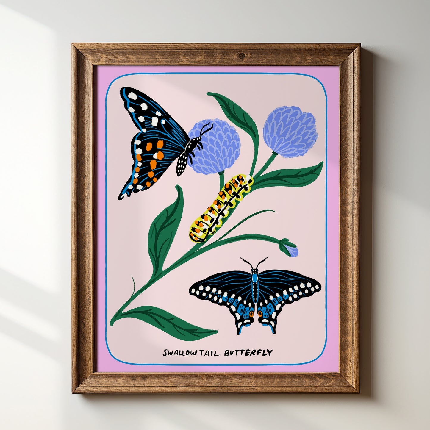 Swallowtail Butterfly - Art Print