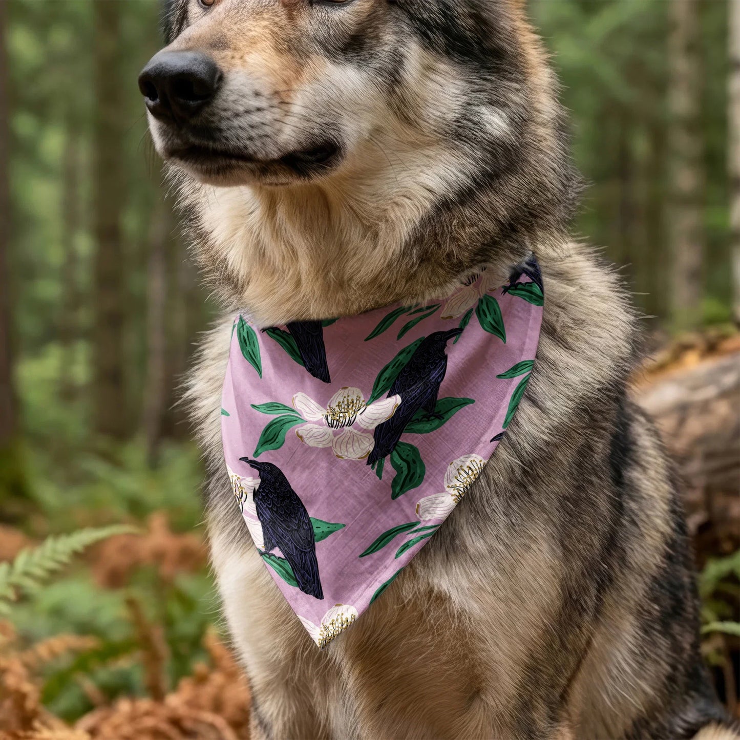 Raven with Magnolia Blossoms  Fabric
