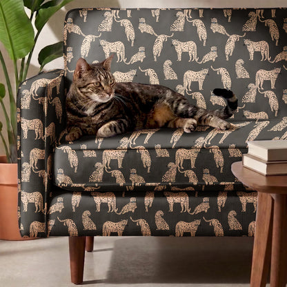Big Cats, Urbane Bronze, Medium Fabric