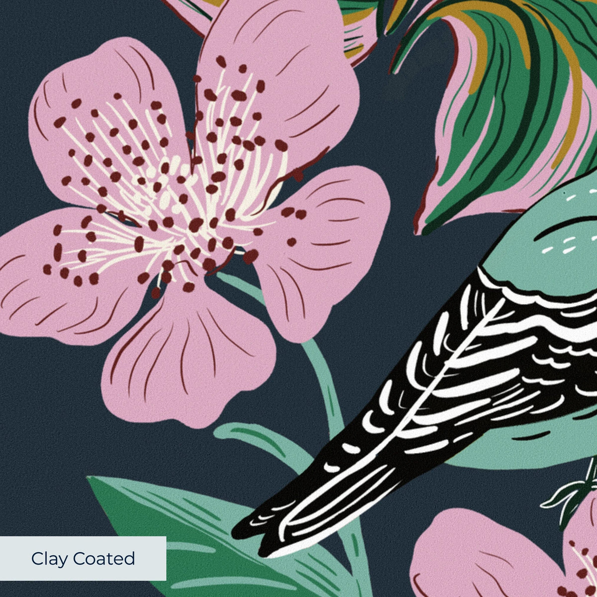 Bird Sanctuary Wallpaper