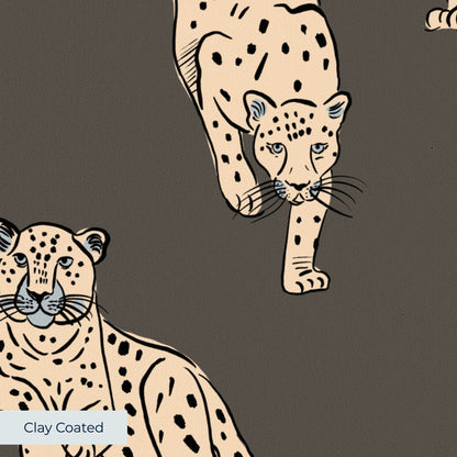Big Cats, Urbane Bronze, Medium Wallpaper