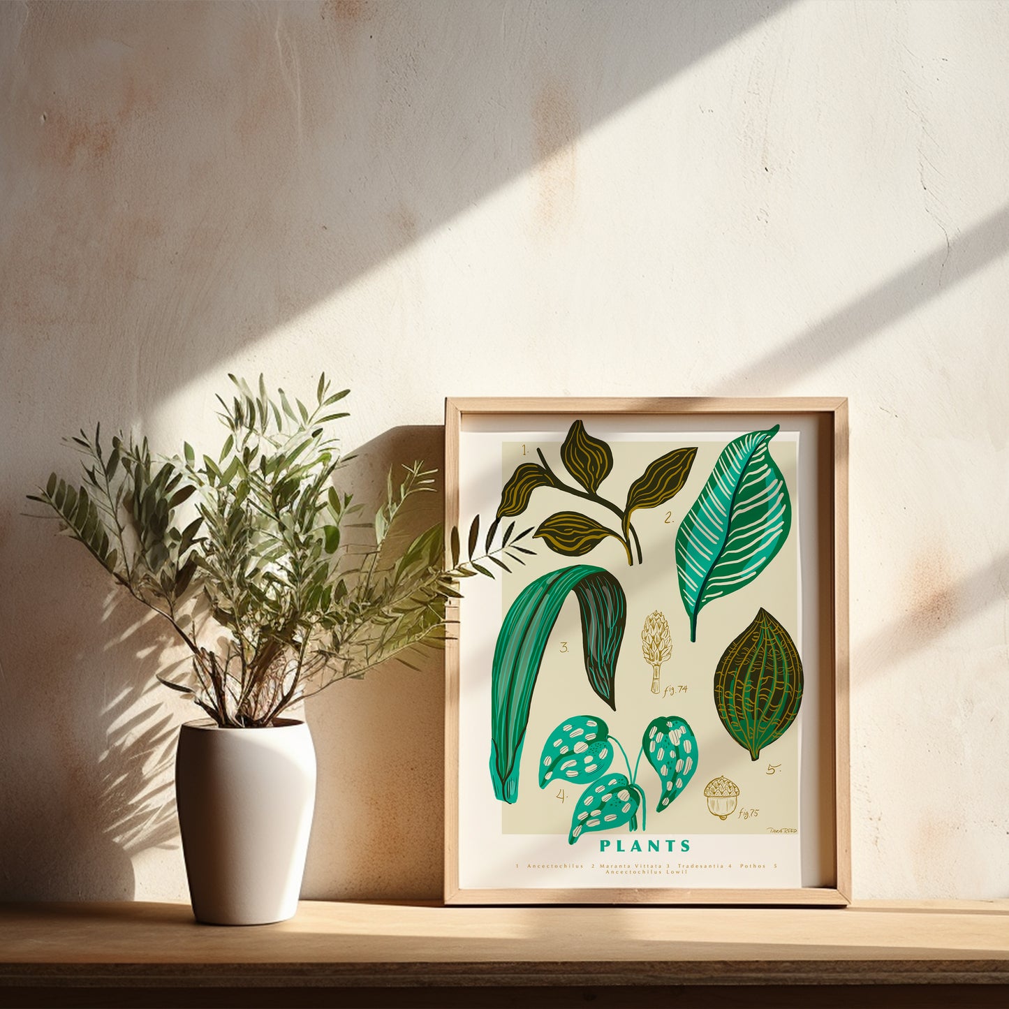 Scientific Poster: Plants - Art Print