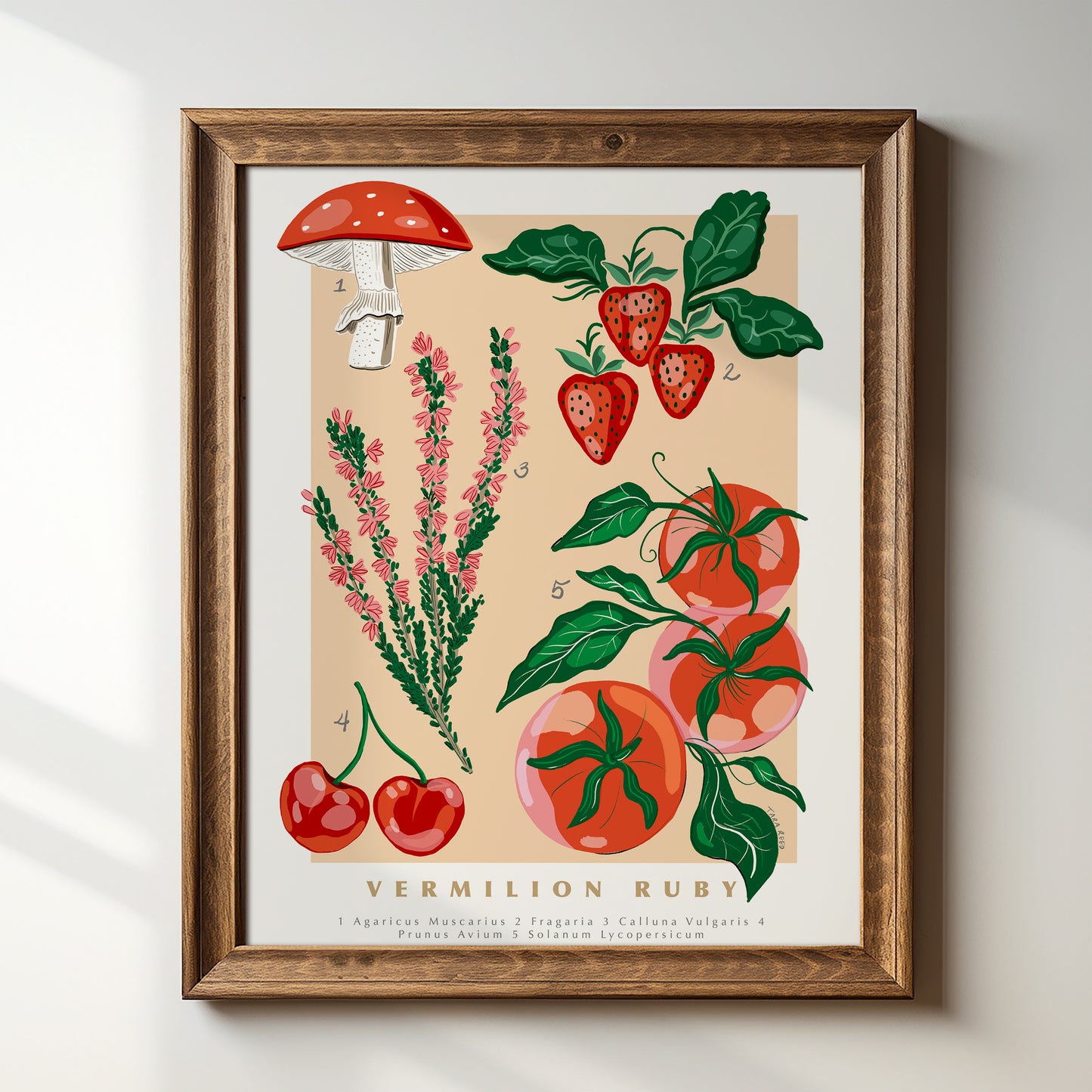 Scientific Poster: Vermilion Ruby - Art Print